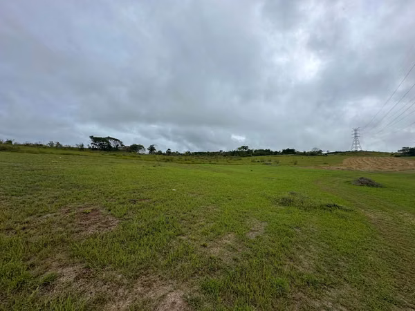 Venta de Finca en Vía las Mendozas, El Arado, La Chorrera, 80 hectáreas