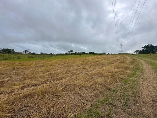 Venta de Finca en Vía las Mendozas, El Arado, La Chorrera, 80 hectáreas