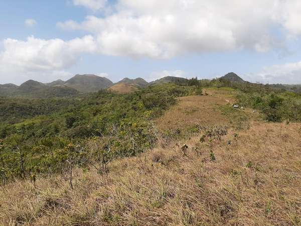 Nature & Investment Potential | Land in Toabré, Penonomé