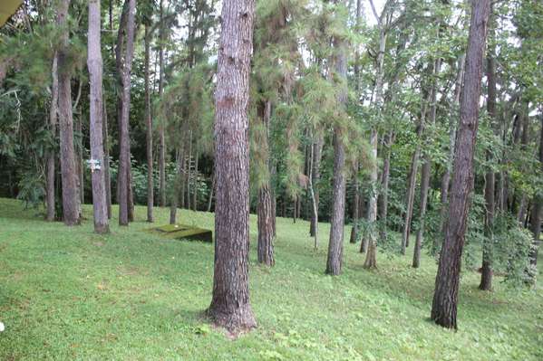 EL ESPINO FINCA EN ALQUILER