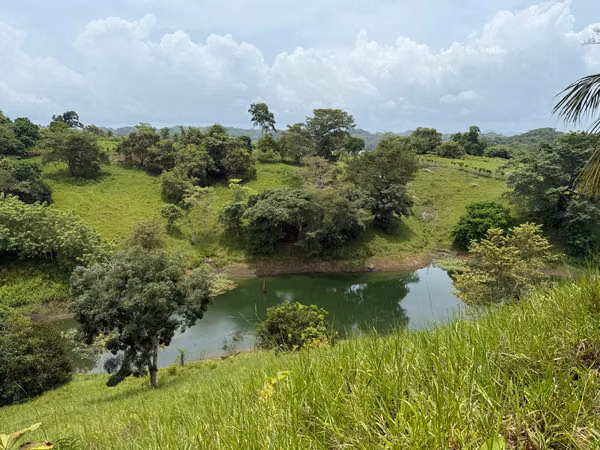 Farm for sale in Chepo, Lake Bayano, 97 hectares