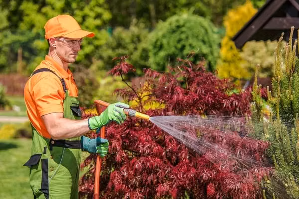 For sale, garden maintenance and landscaping company, interested clients