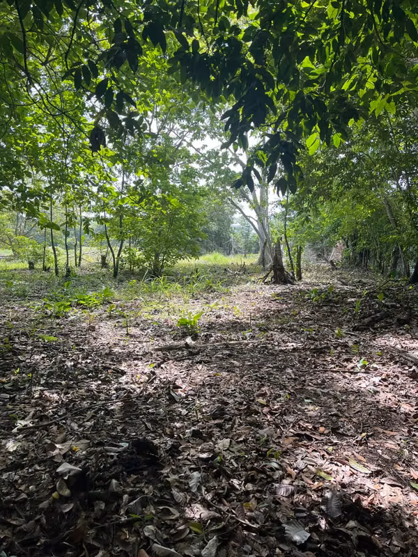For sale in Pacora for real estate or commercial development