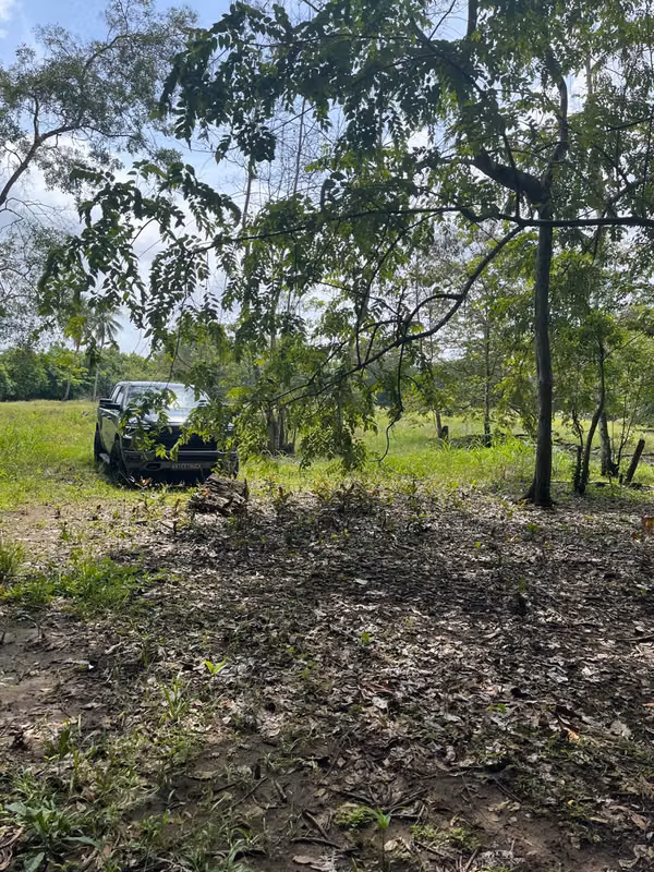 For sale in Pacora for real estate or commercial development