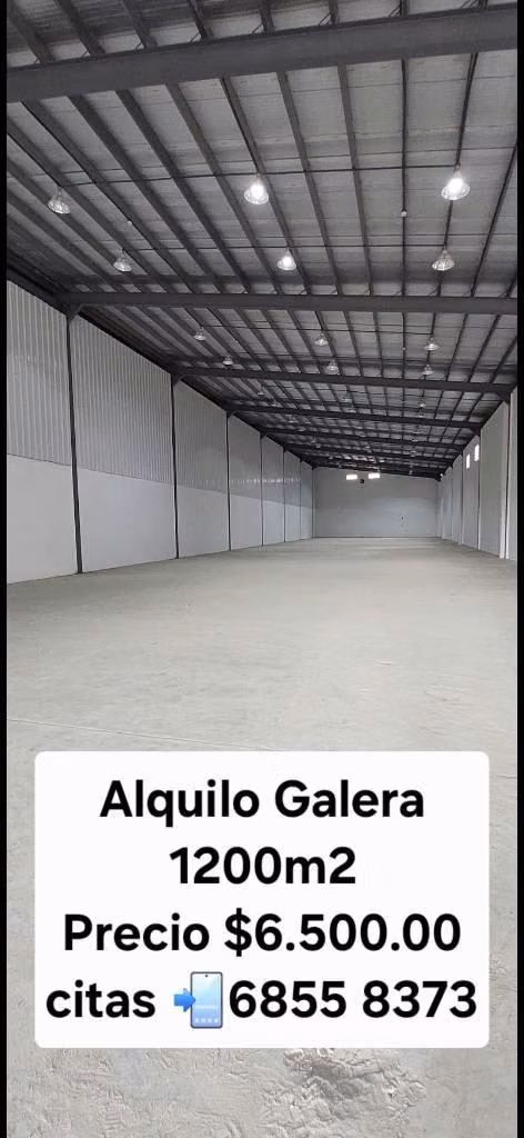 Alquilo Galera 1200m2 Via Principal