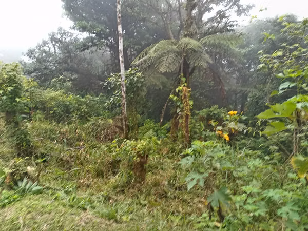 LAND FOR SALE IN ALTOS DEL MARÍA – 3,367 m² | BELOW APPRAISED VALUE