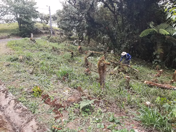 LAND FOR SALE IN ALTOS DEL MARÍA – 3,367 m² | BELOW APPRAISED VALUE