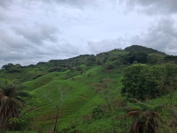 VENTA TERRENO EN PORTOBELILLO