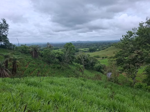 VENTA TERRENO EN PORTOBELILLO