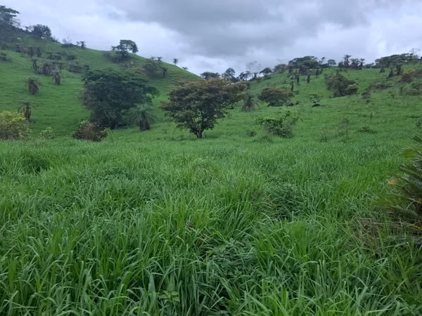 VENTA TERRENO EN PORTOBELILLO