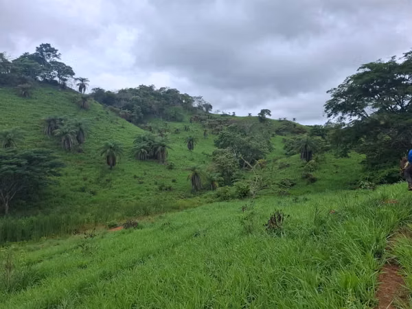 VENTA TERRENO EN PORTOBELILLO