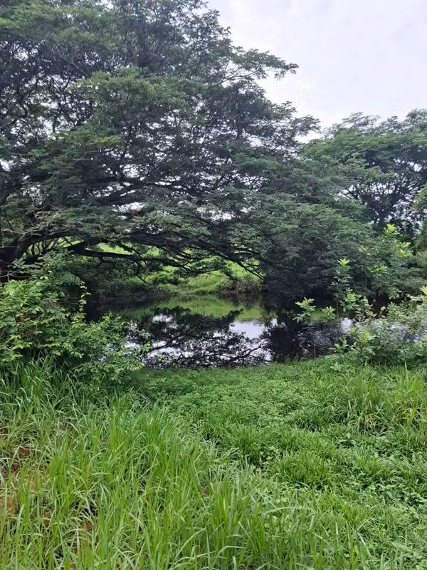 VENTA TERRENO EN PORTOBELILLO