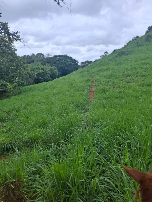 VENTA TERRENO EN PORTOBELILLO