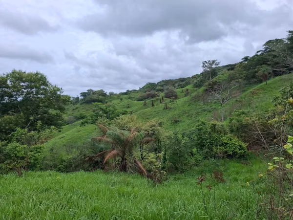 VENTA TERRENO EN PORTOBELILLO