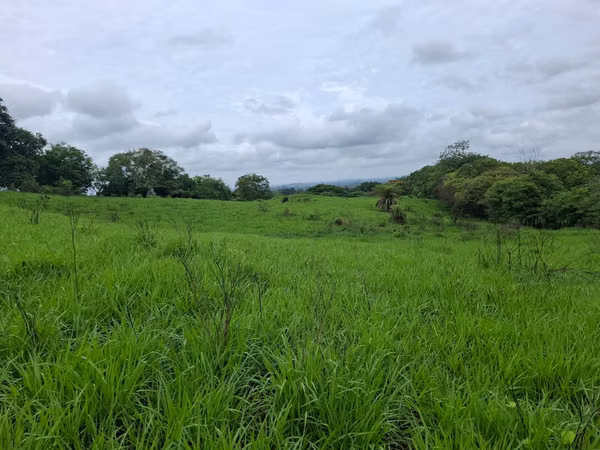 VENTA TERRENO EN PORTOBELILLO