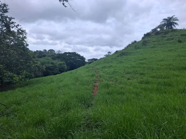 VENTA TERRENO EN PORTOBELILLO