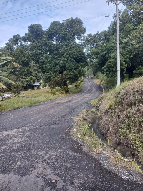 OPPORTUNITY For Sale 8 Hectares Farm at Special Price $898,000.00