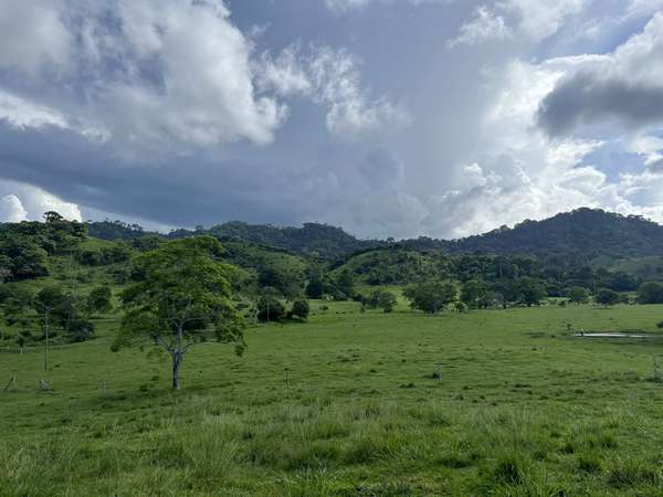 Agro-Livestock Farm for Sale in Tortí – Chepo