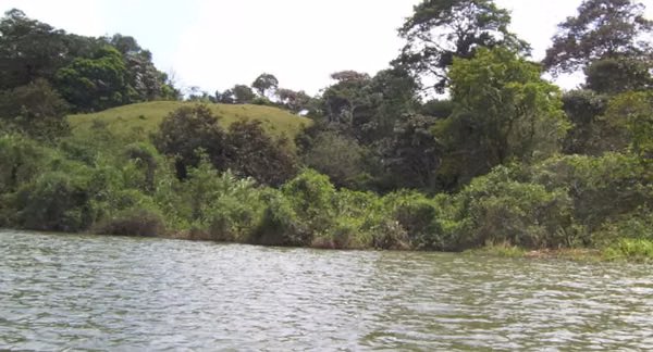 INVESTMENT OPPORTUNITY BETWEEN RIVER AND GATUN LAKE, COLON, PANAMA