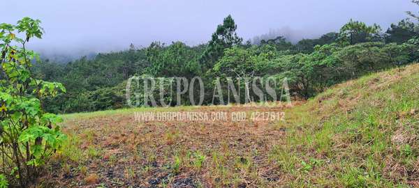 Se Vende Hermoso Terreno con vistas en zona Alta de Altos del Maria