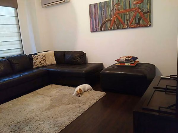 Modern House for Sale in Llanos de Curundú – Panama ID 24428