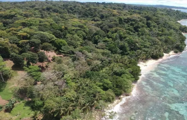 VENTA de Terreno con Playa Blanca en Bocas del Toro | INVERSIÓN