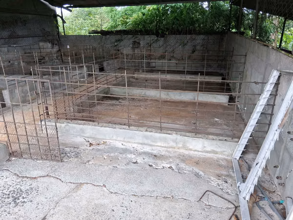 SE VENDE FINCA, PANAMA OESTE, CHORRERA, VIAS LAS MENDOZAS