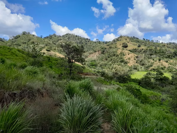 SE VENDE FINCA AGROPECUARIA EN JOAQUIN TONOSÍ.