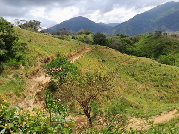 SE VENDE FINCA GANADERA EN LA BARRA (MARIATO).