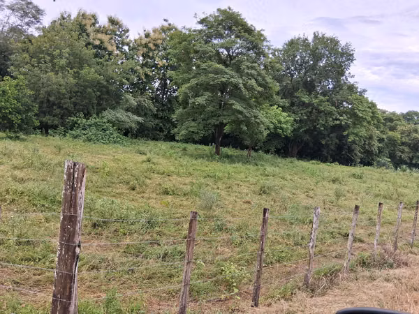 SE VENDE FINCA AGROPECUARIA OJO DE AGUA, TONOSÍ (LOS SANTOS).