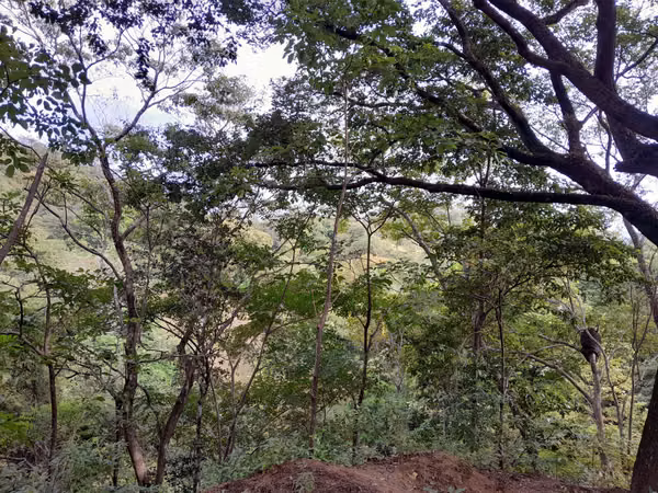SE VENDE TERRENO A ORIILAS DE LA PLAYA (PIEDRA CARETA)