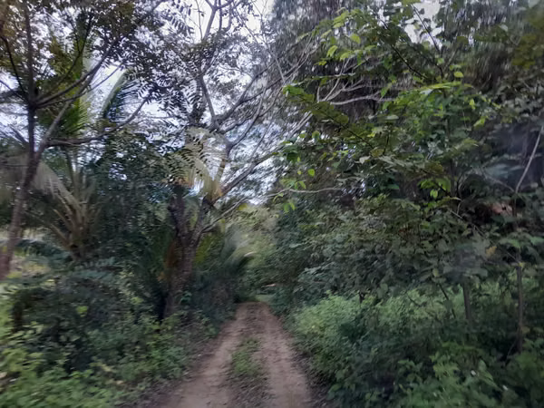 SE VENDE TERRENO A ORIILAS DE LA PLAYA (PIEDRA CARETA)