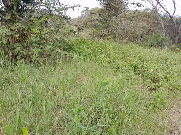 SE VENDE TERRENO A ORIILAS DE LA PLAYA (PIEDRA CARETA)