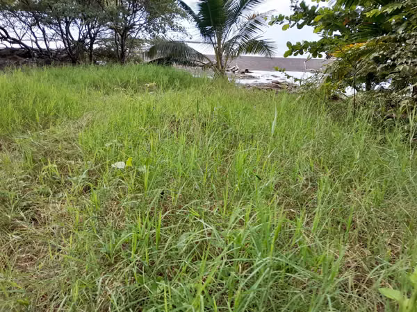 SE VENDE TERRENO A ORIILAS DE LA PLAYA (PIEDRA CARETA)