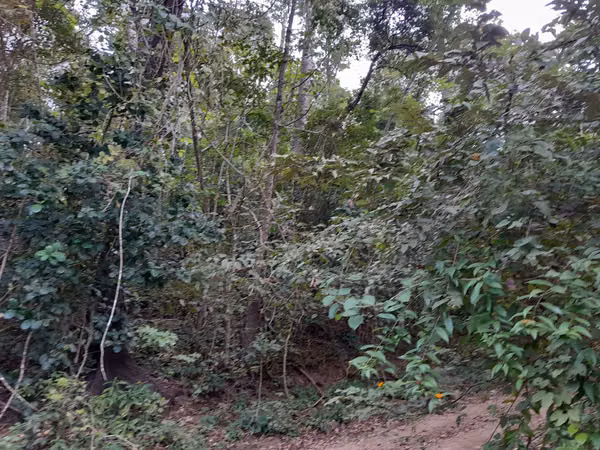 SE VENDE TERRENO A ORIILAS DE LA PLAYA (PIEDRA CARETA)