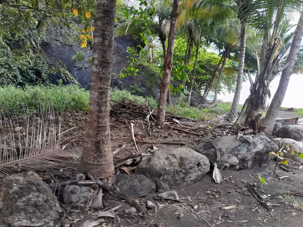 SE VENDE TERRENO A ORIILAS DE LA PLAYA (PIEDRA CARETA)