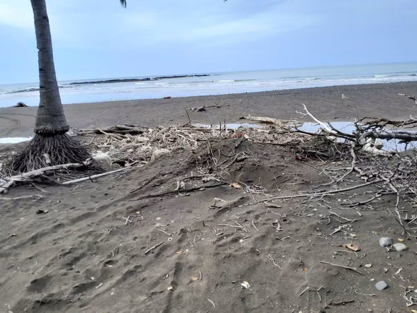 SE VENDE TERRENO A ORIILAS DE LA PLAYA (PIEDRA CARETA)