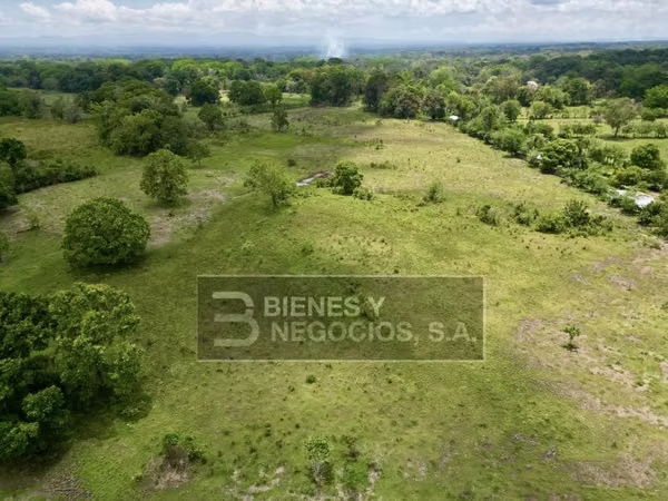 Finca en Chiriqui, Bugaba, 259 hectáreas en Santo Domingo