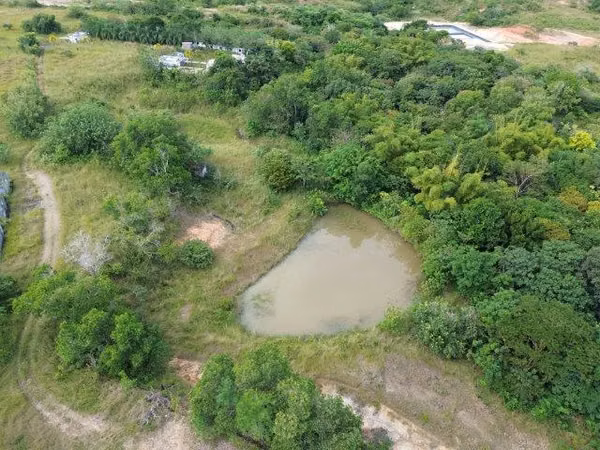 SE VENDE TERRENO EN EL COCO DE PENONOME