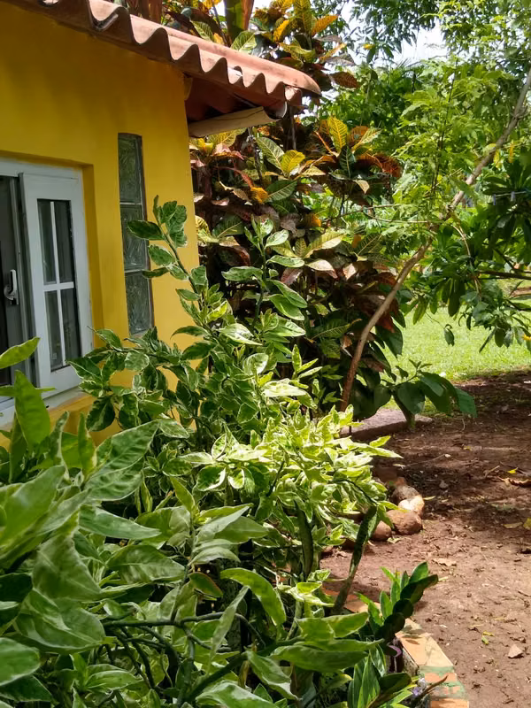 VENDO CHITRE -CASA EN SECTOR LAS TABLITAS