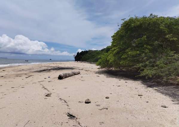 Farm for sale on Isla del Rey, Pearl Islands, 68 hectares