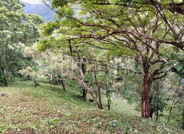 Se vende Terreno con Hermosas Vistas en Zona Alta - Altos del Maria