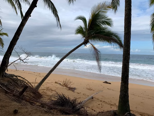 Venta de terreno en Bluff Beach Isla Colón, Bocas del Toro
