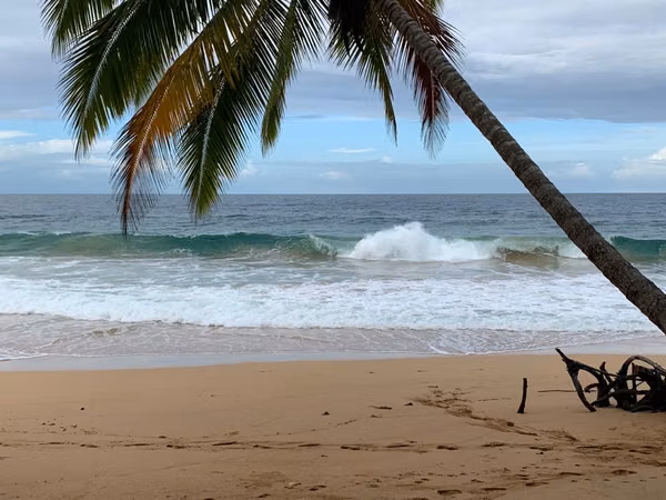 Venta de terreno en Bluff Beach Isla Colón, Bocas del Toro