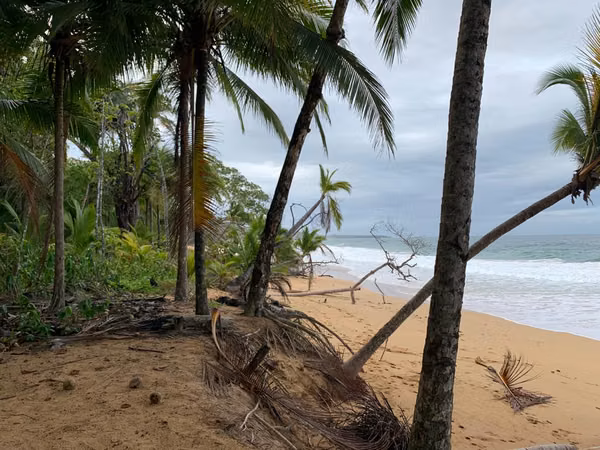 Venta de terreno en Bluff Beach Isla Colón, Bocas del Toro