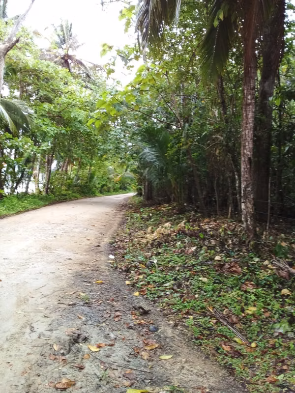 Land sale in Bluff Beach Bocas del Toro