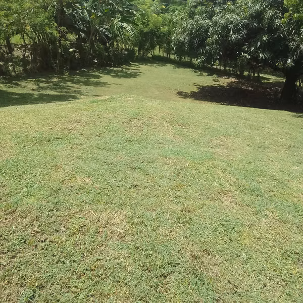 Land for sale at 10 minutes of Playa Corona