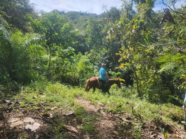 Se Vende Terreno en la provincia de Herrera, distrito de Ocu, Menchaca