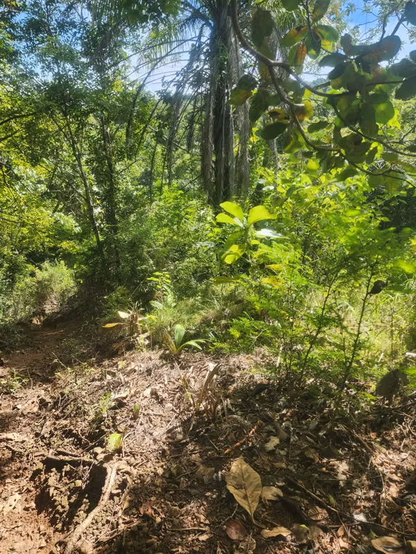 Se Vende Terreno en la provincia de Herrera, distrito de Ocu, Menchaca