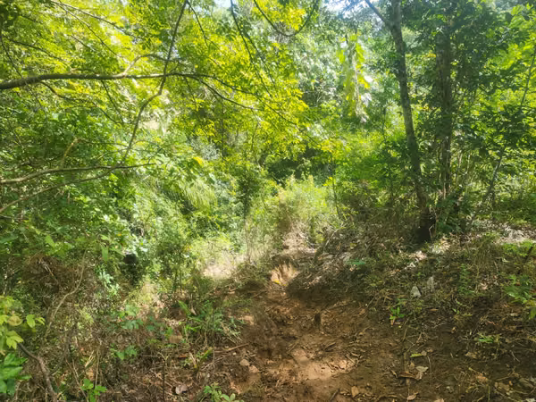 Se Vende Terreno en la provincia de Herrera, distrito de Ocu, Menchaca